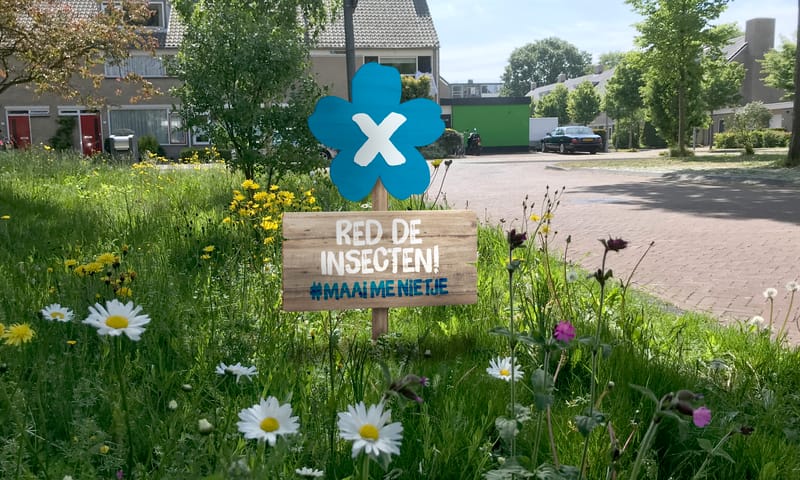 Red de insecten - Maai me nietje