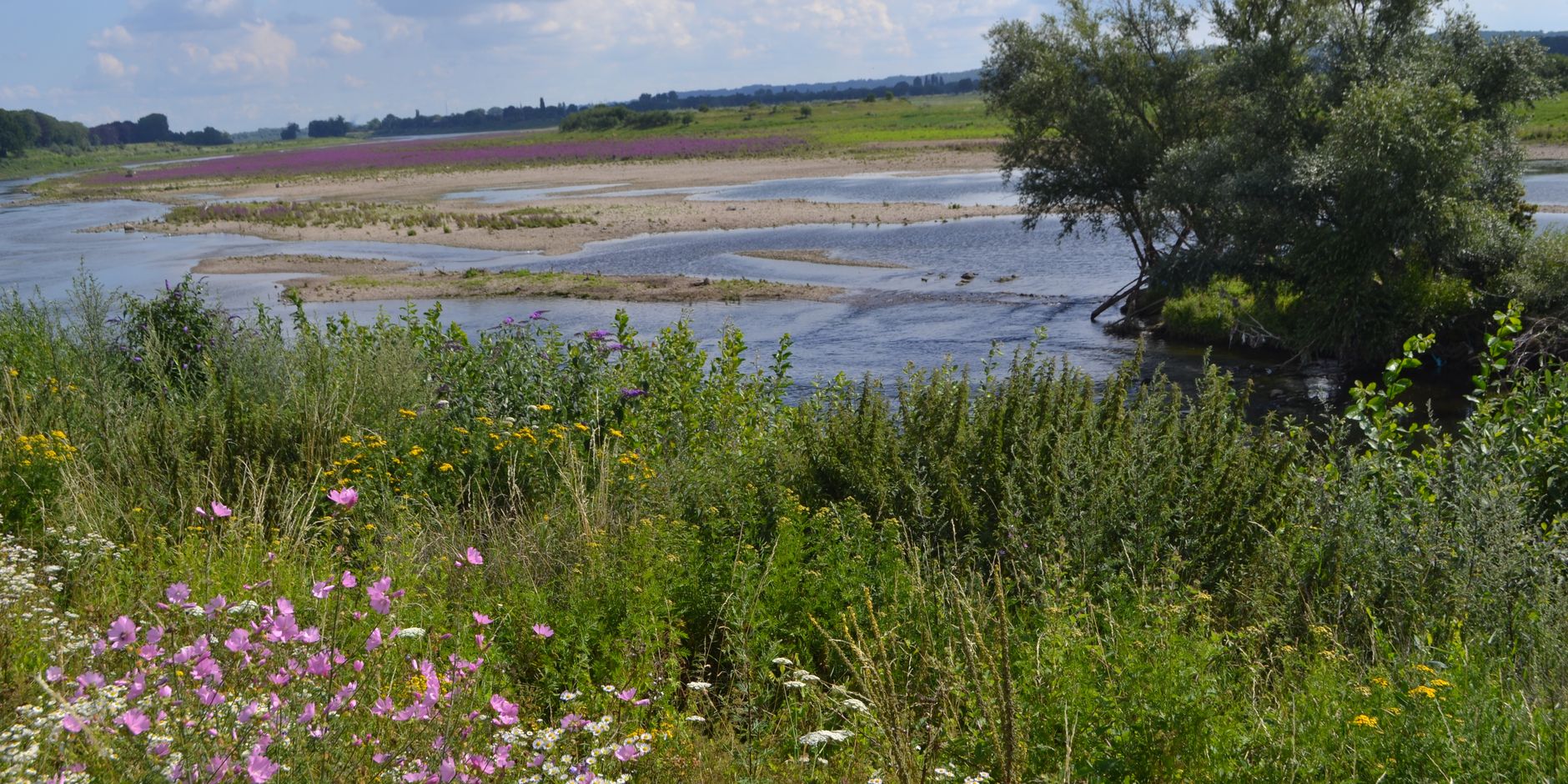 RivierPark Maasvallei