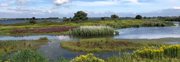 Schutskooipolder