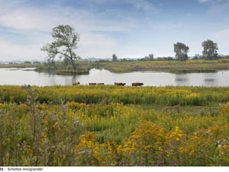 Uitzicht vanaf Vliedberg