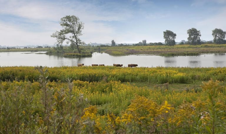 Uitzicht vanaf Vliedberg