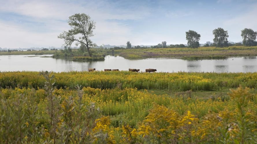 Uitzicht vanaf Vliedberg