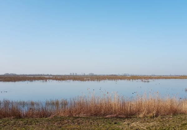 waterrijk