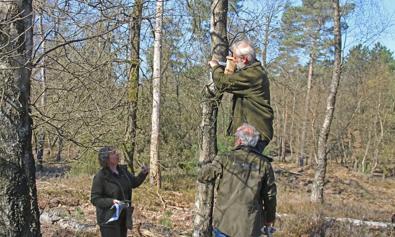 Ophangen draaihalsnestkast