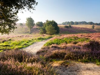 Rondje Mookerheide