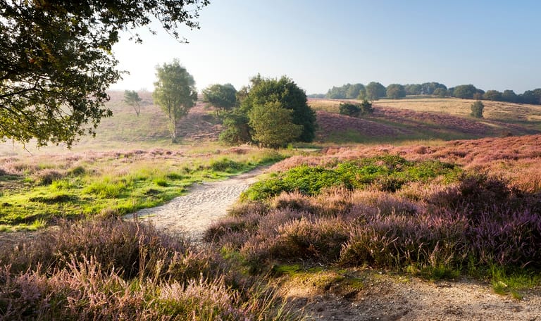 Rondje Mookerheide