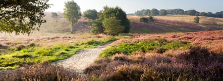 Rondje Mookerheide
