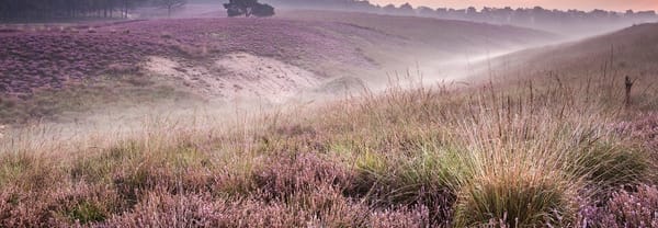 Uitzicht Mookerheide