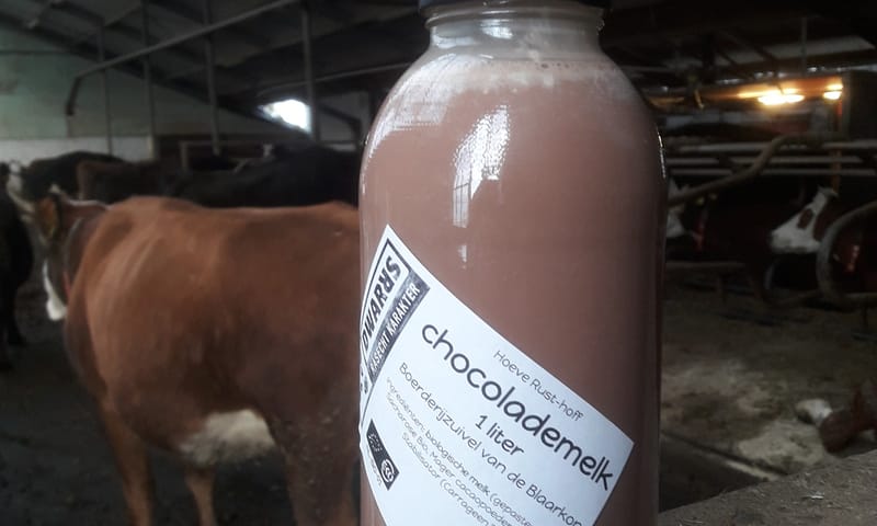Chocolademelk bij boer Jeroen van der Kooij