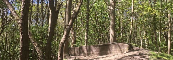 Vleermuisbunker
