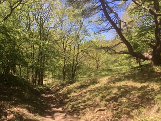 Gele wandelroute MHD