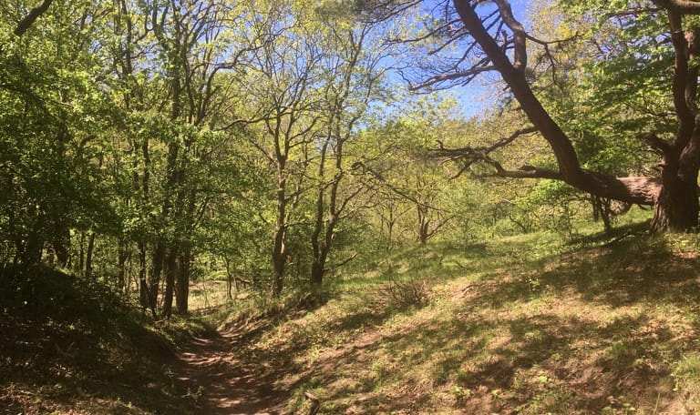 Gele wandelroute MHD