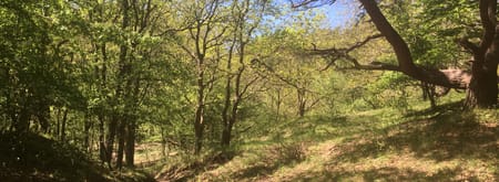 Gele wandelroute MHD