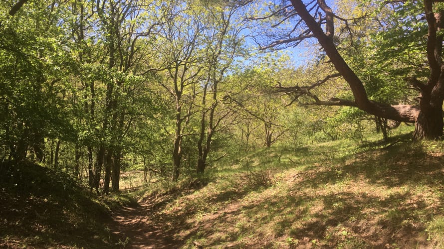 Gele wandelroute MHD