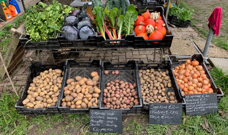 moestuin
