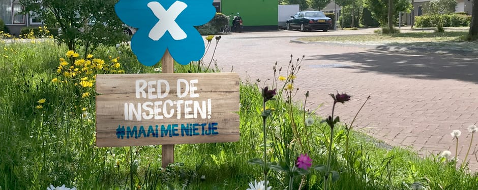 Maai-me-nietje 2021 landingspagina