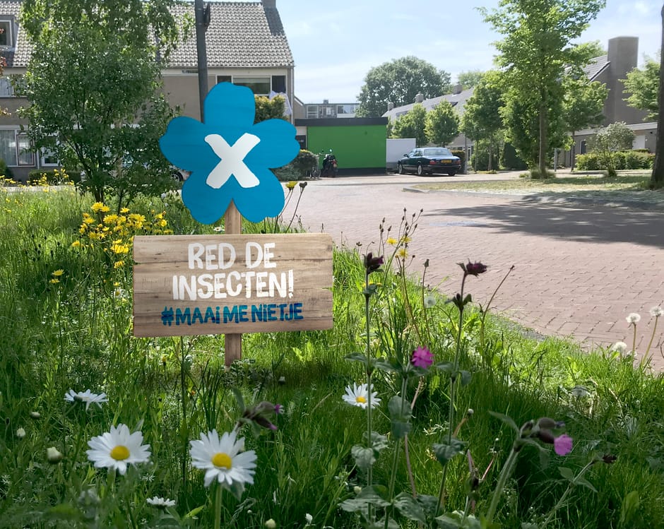 Maai-me-nietje 2021 landingspagina