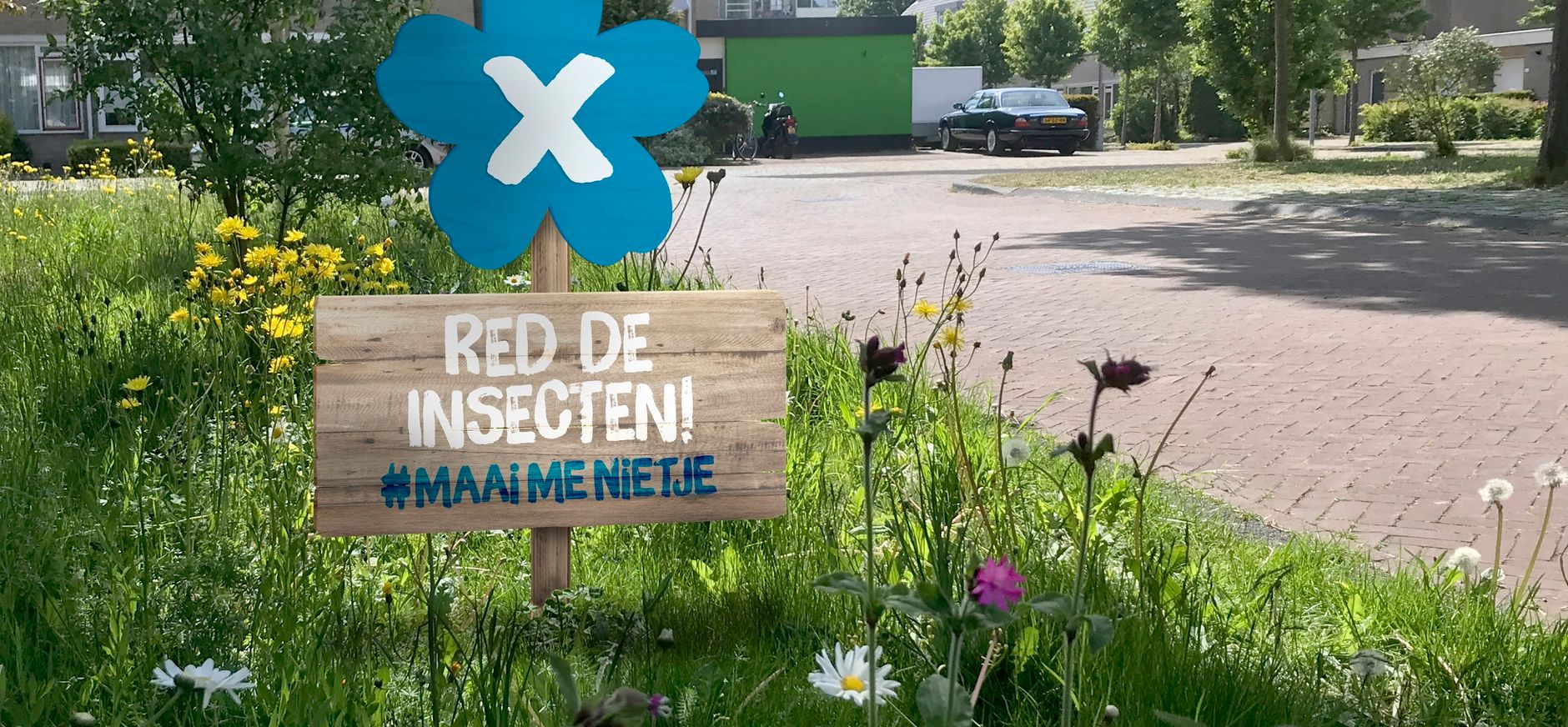 Maai-me-nietje 2021 landingspagina