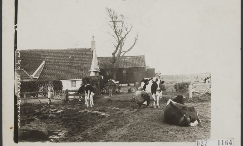Wybren Visser