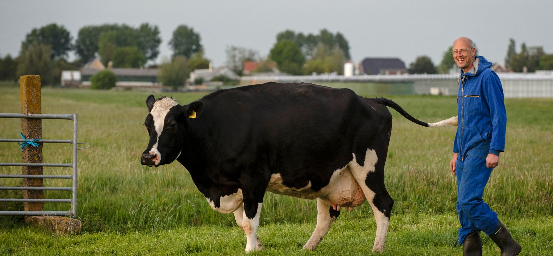 Boer Jan-Dirk Rodenburg Polder Schieveen