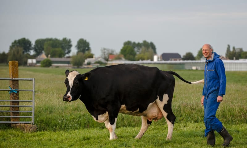 Boer Jan-Dirk Rodenburg Polder Schieveen