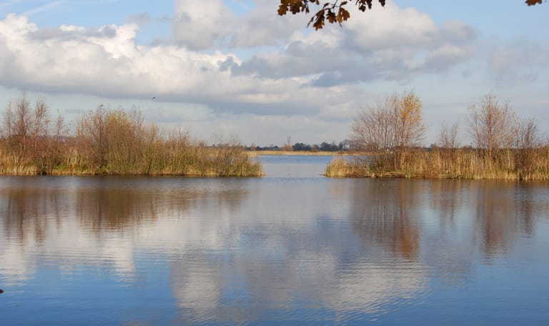 Ankeveense plassen herfst