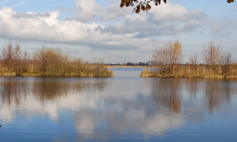 Ankeveense plassen herfst