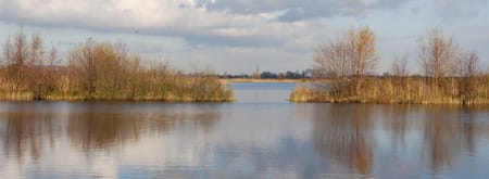 Ankeveense plassen herfst