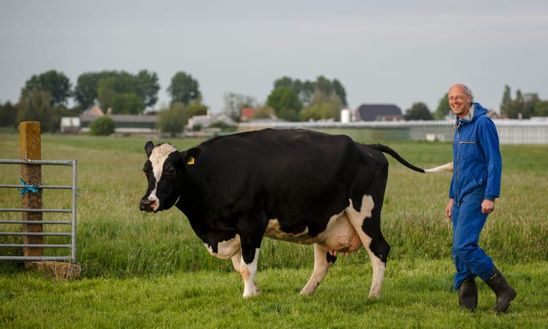 Boer Jan-Dirk Rodenburg Polder Schieveen