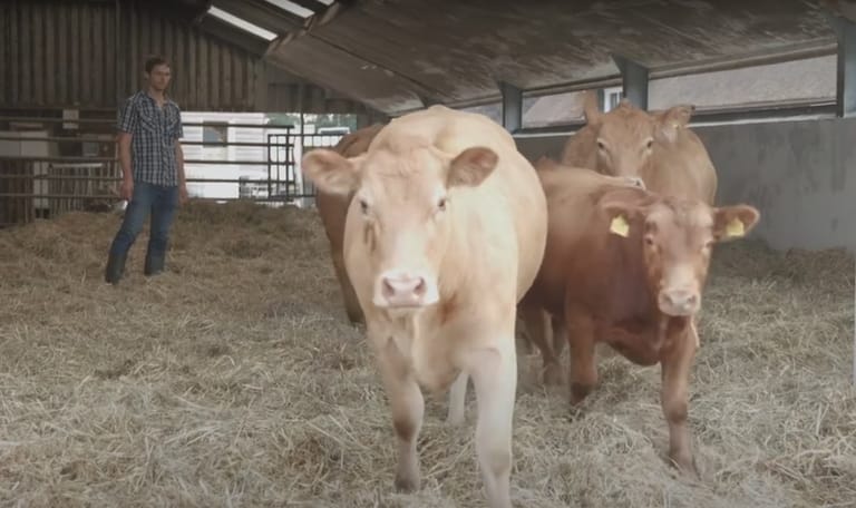 Boer Hendrik Kreuger