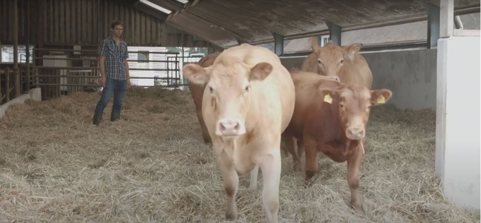 Boer Hendrik Kreuger