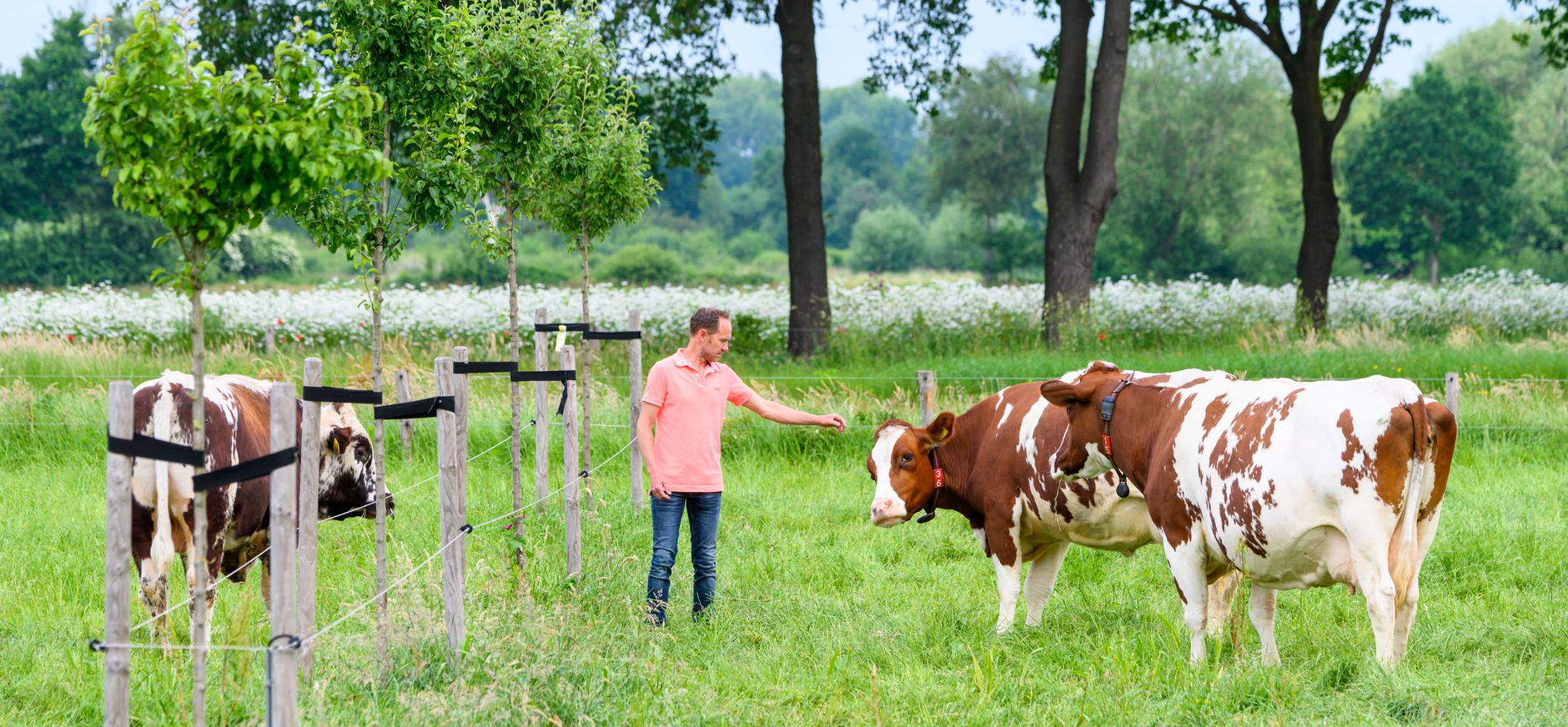 Boer Peter van den Broek boert natuurinclusief