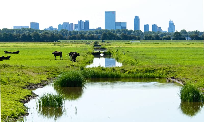 Rotterdam de Boer op!