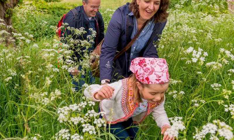 Wandelen in de Zwaakse Weel 