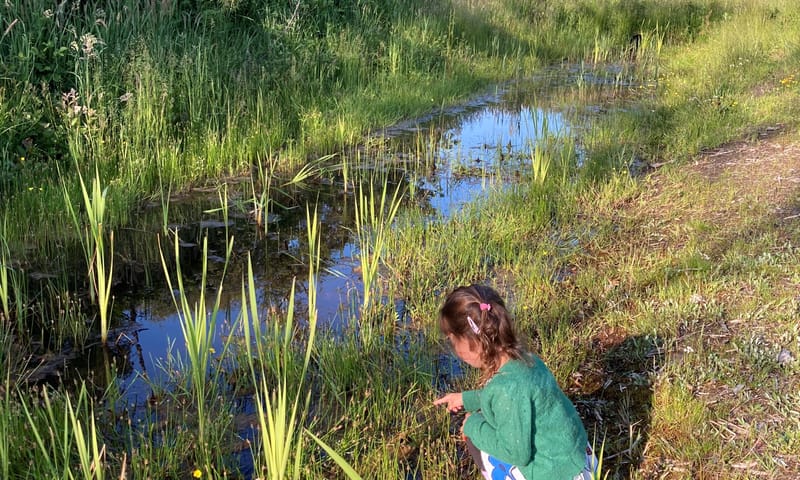 Speelnatuur Schiermonnikoog