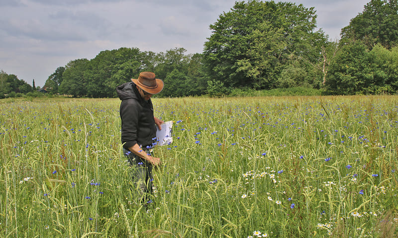 Udo Prins beoordeelt spelt op pleegakker Hiemberg