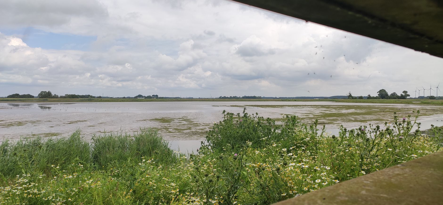 Vogelhut Beningerslikken