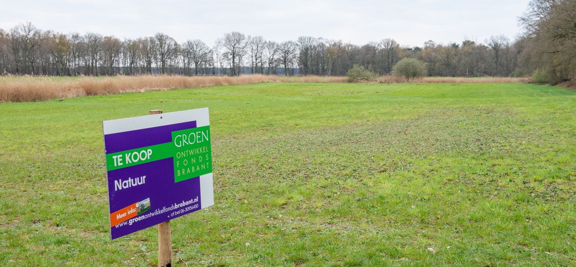 Brouwersweijer Bergeijk