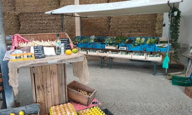 Winkel Hoeve Biesland bij Delft