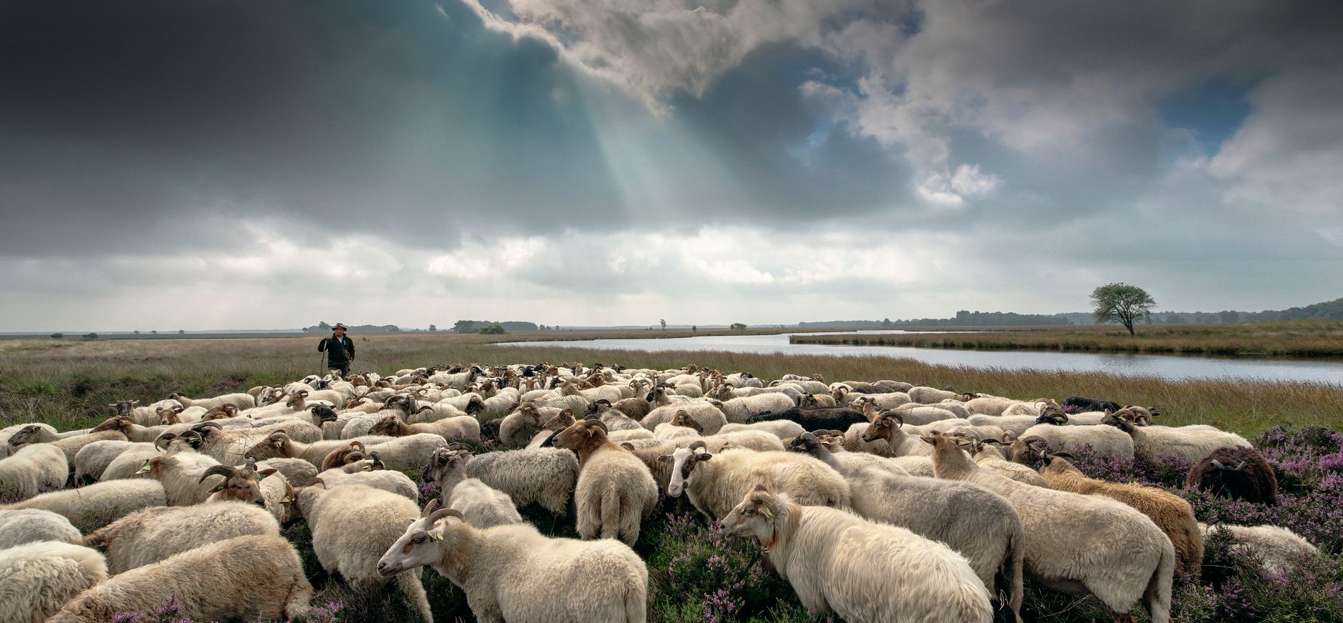 Drenthe