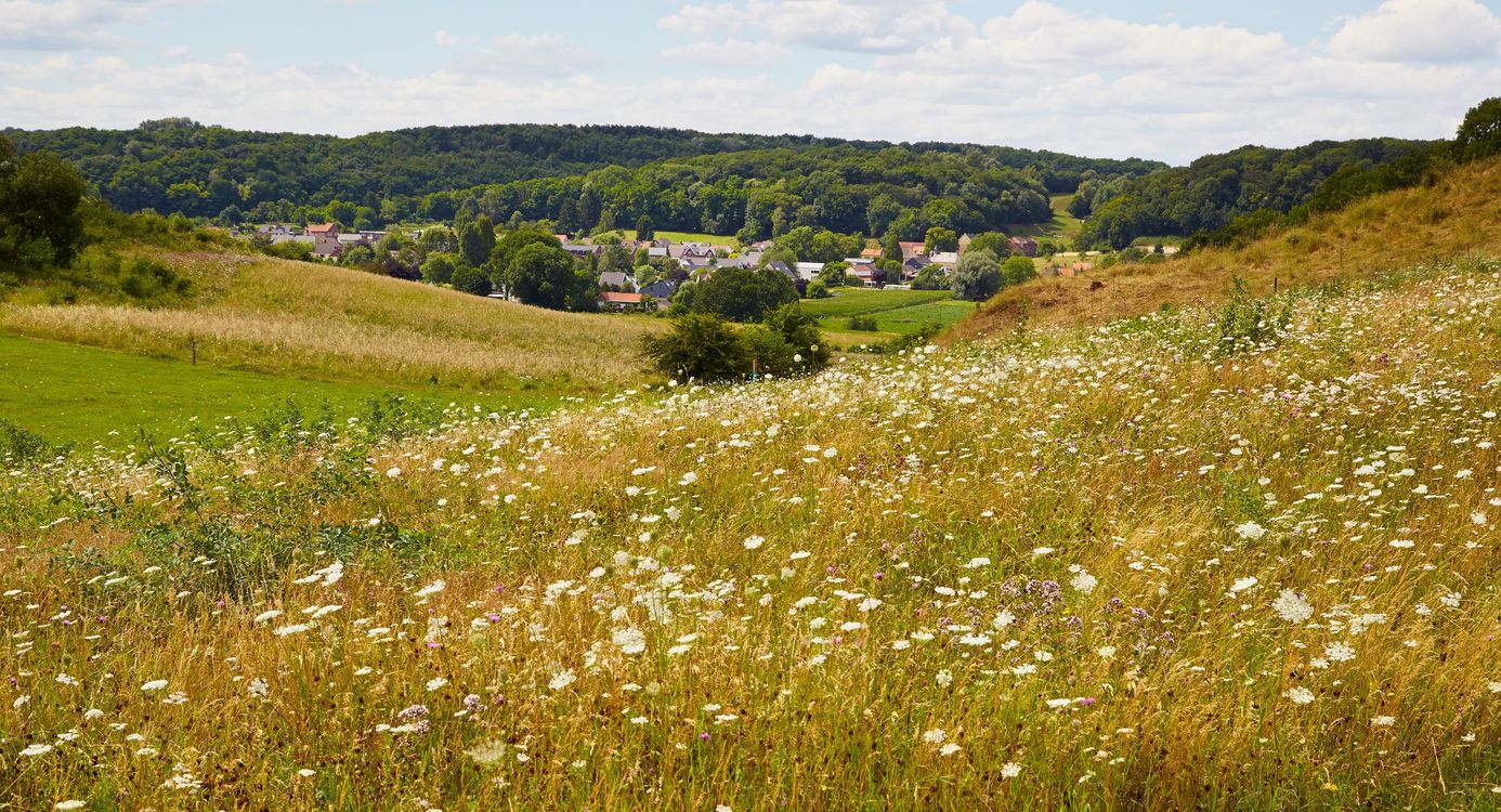 Popelmondedal