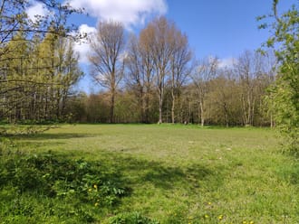 boswei scheelhoek