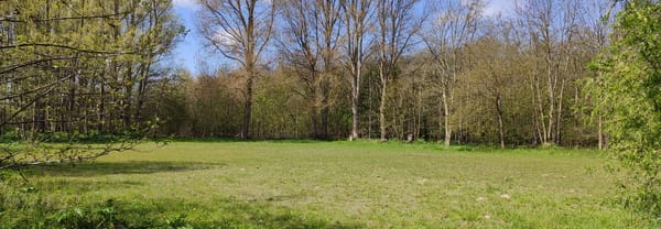 boswei scheelhoek