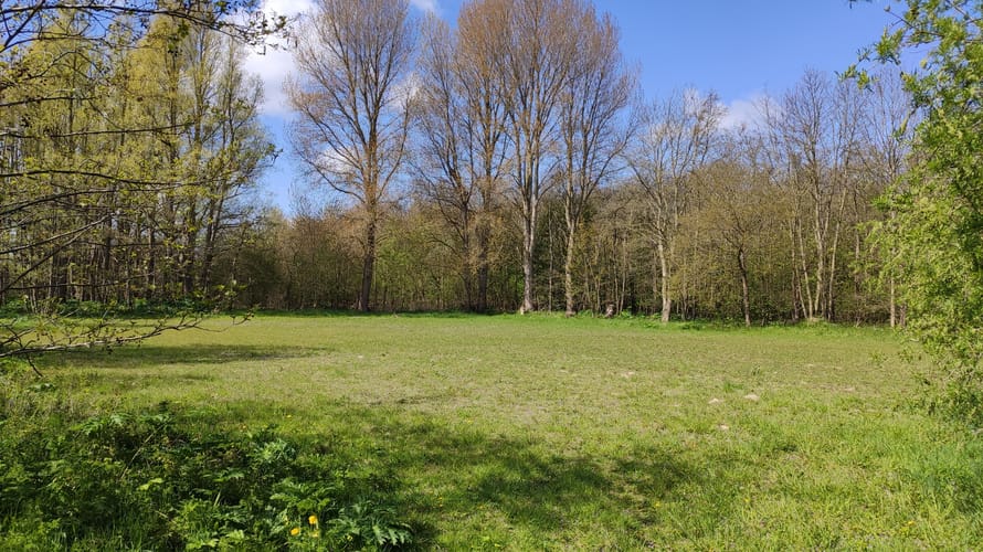boswei scheelhoek