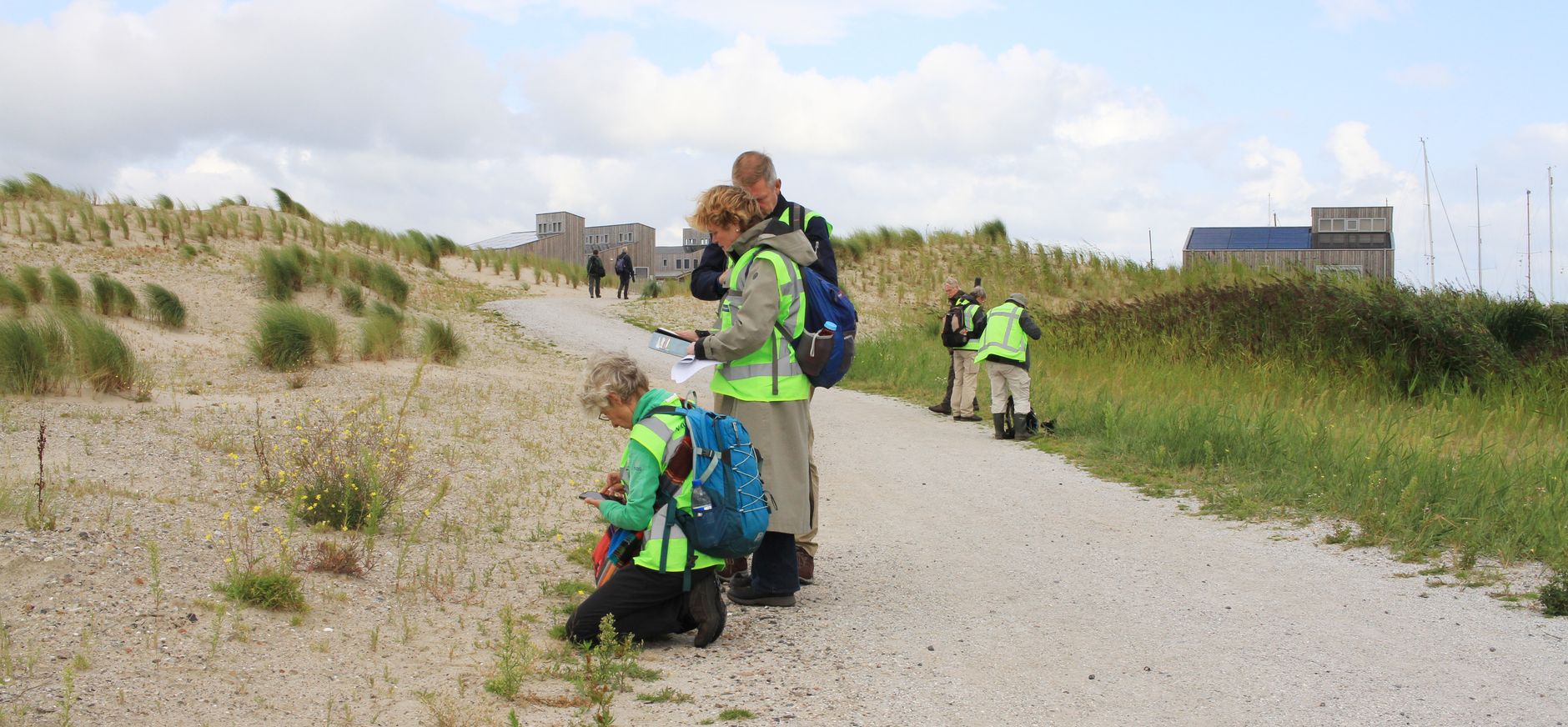 1000-soortendag Marker Wadden