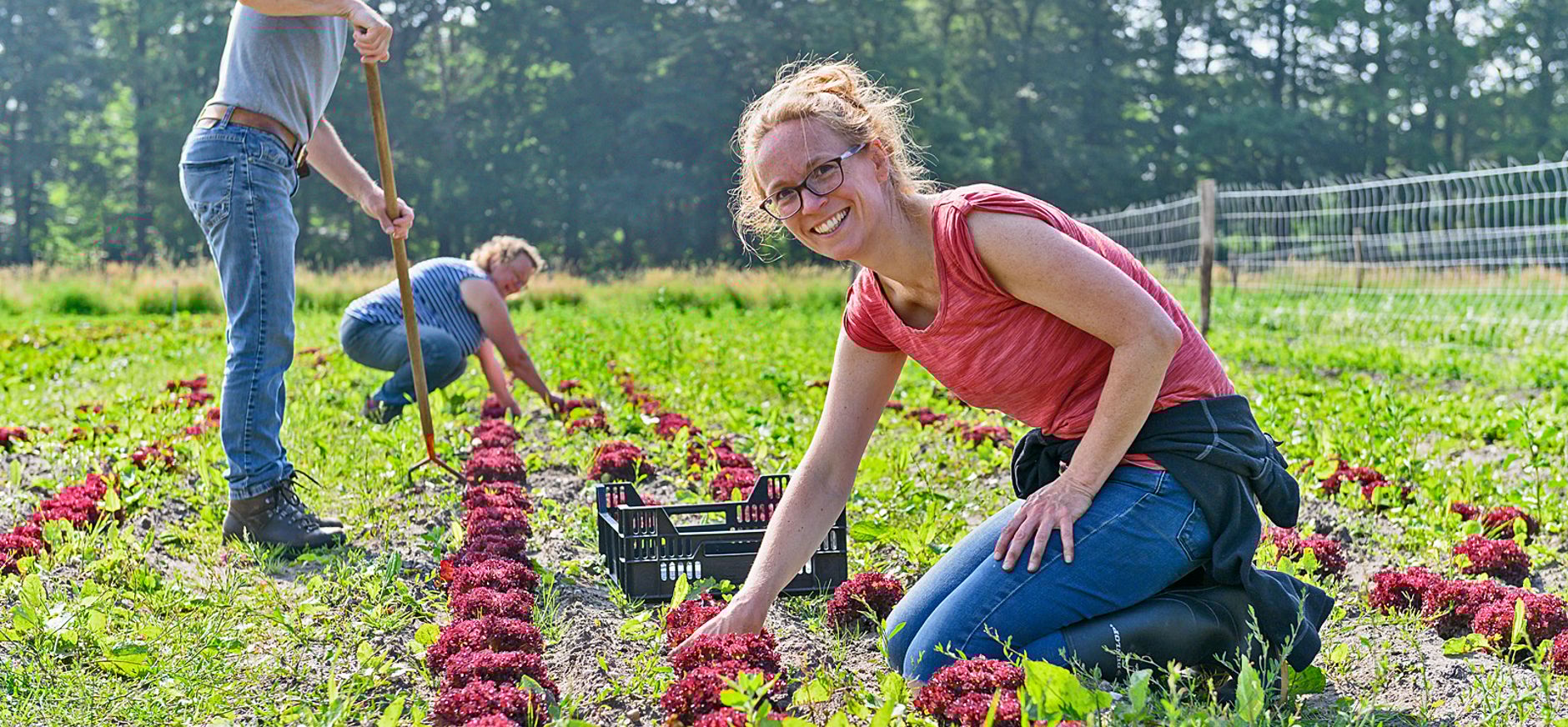Akker Herenboeren Groote Modderkolk