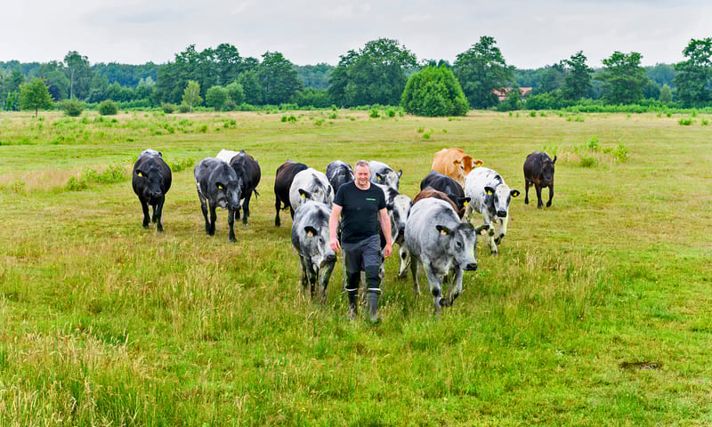 Boer Hans Nieuwenburg in het grasland Soerense Broek