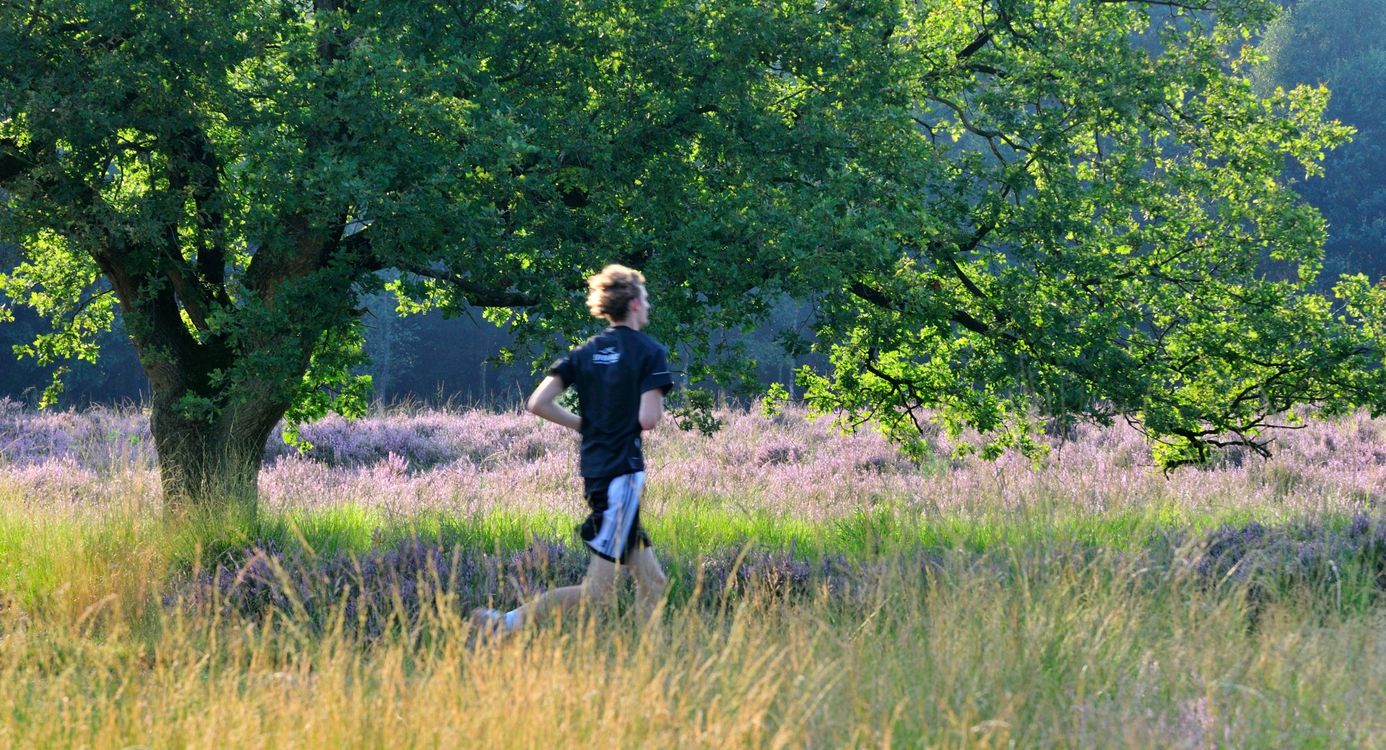 Hardlooproute Heumensoord 10 km.