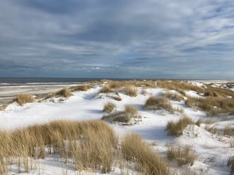 Winter op het strand van Schiermonnikoog