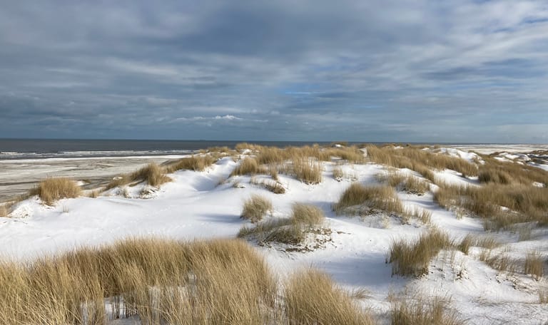 Winter op het strand van Schiermonnikoog